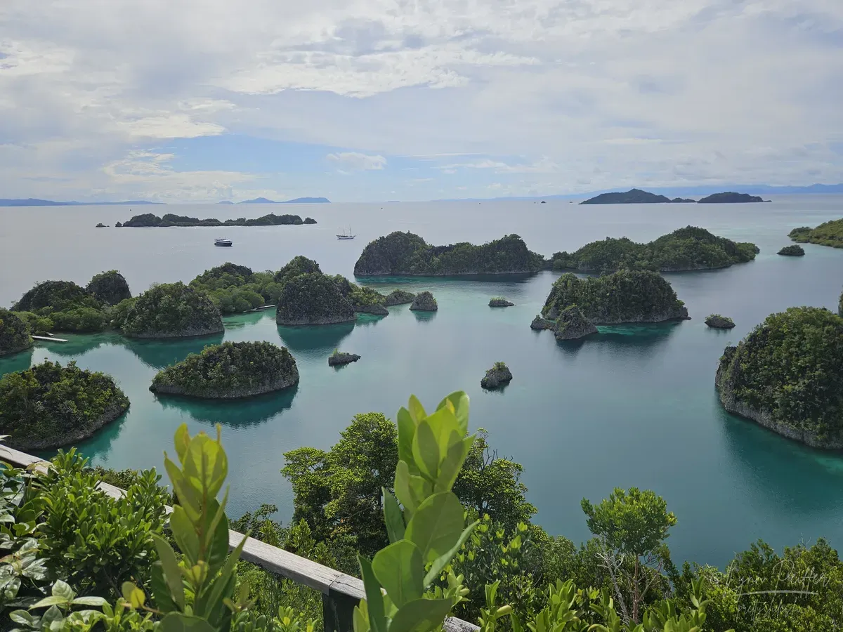 Limestone karst islets dot the calm turquoise sea, seen from the Piaynemo viewpoint in Raja Ampat.