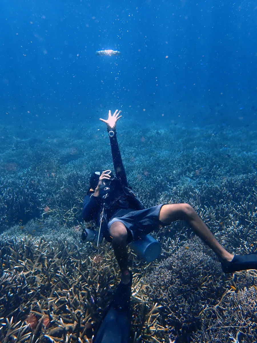 Diving Raja Ampat Indonesia Travel Photos 15 by Lynn Peiffer An Indonesian dive guide hovers above a coral reef, watching a bubble ring rise to the surface.