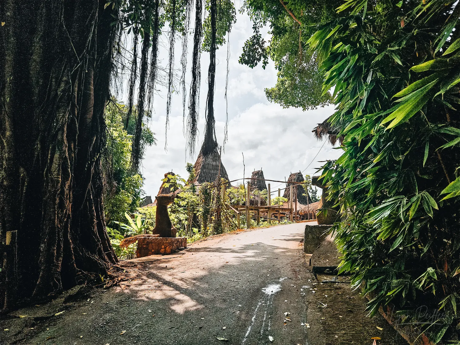 Places of Indonesia Landscape Travel Photos 06 by Lynn Peiffer Trees surround a road leading to a village in Sumba, Indonesia.