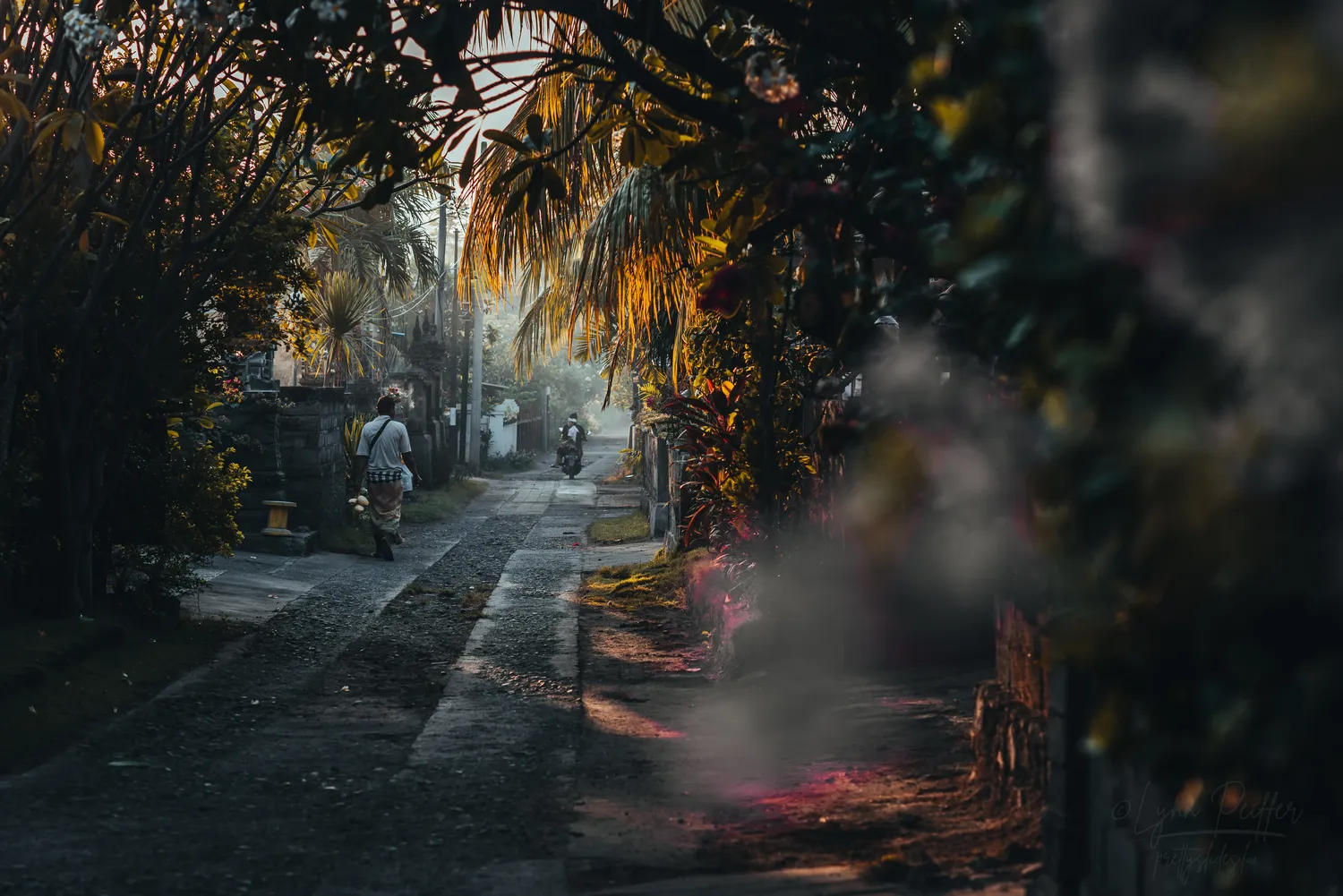 Places of Indonesia Landscape Travel Photos 17 by Lynn Peiffer Early morning light in a small lane in Bali, Indonesia.
