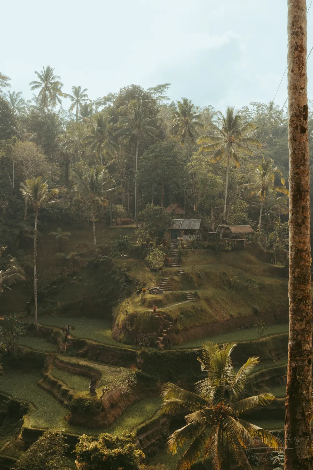 Places of Indonesia Landscape Travel Photos 19 by Lynn Peiffer Houses, huts, and stairs atop the Tegallalang rice terraces in Bali, Indonesia.