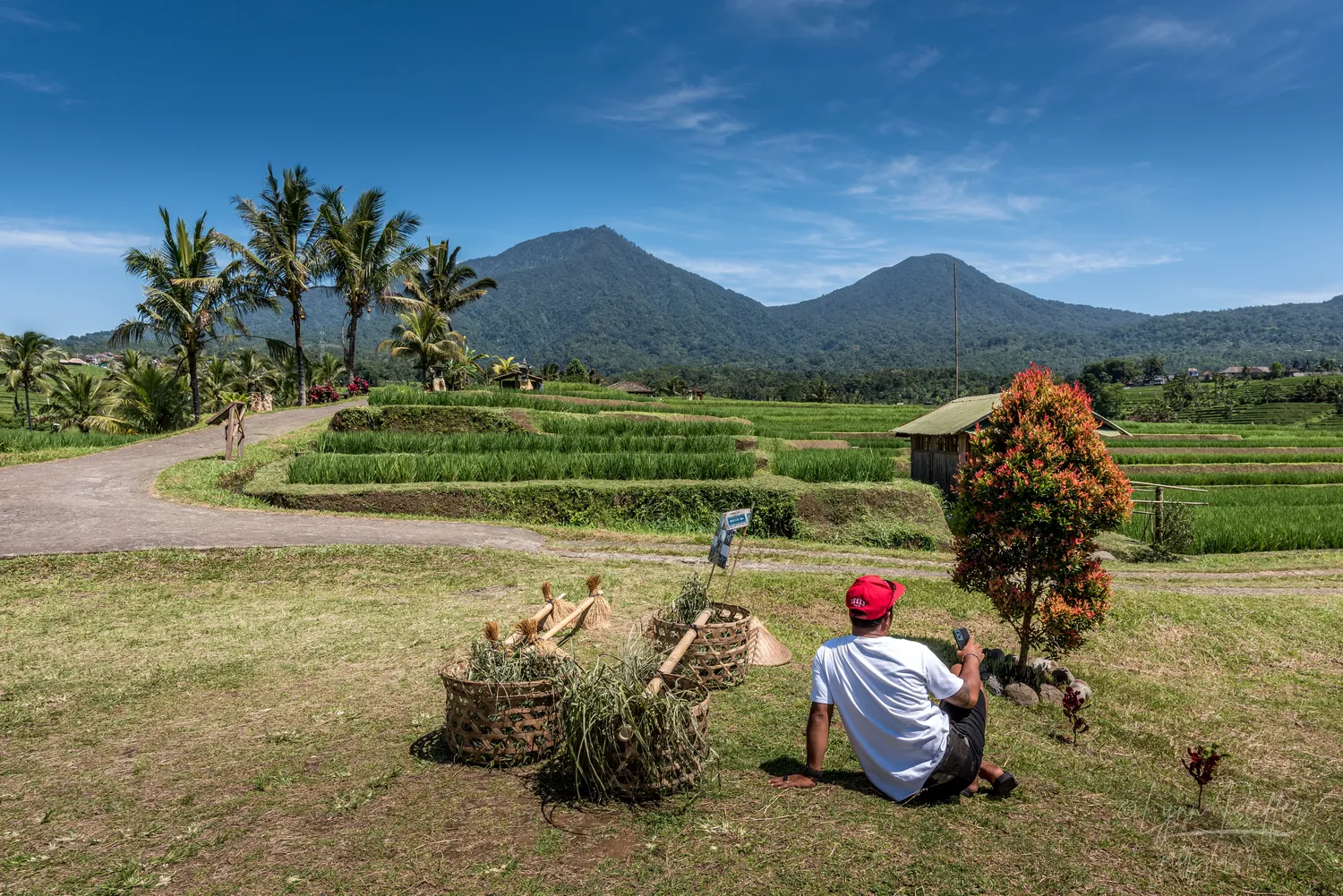 Places of Indonesia Landscape Travel Photos 28 by Lynn Peiffer A man rests with his phone and collection baskets next to rice fields in Bali, Indonesia.