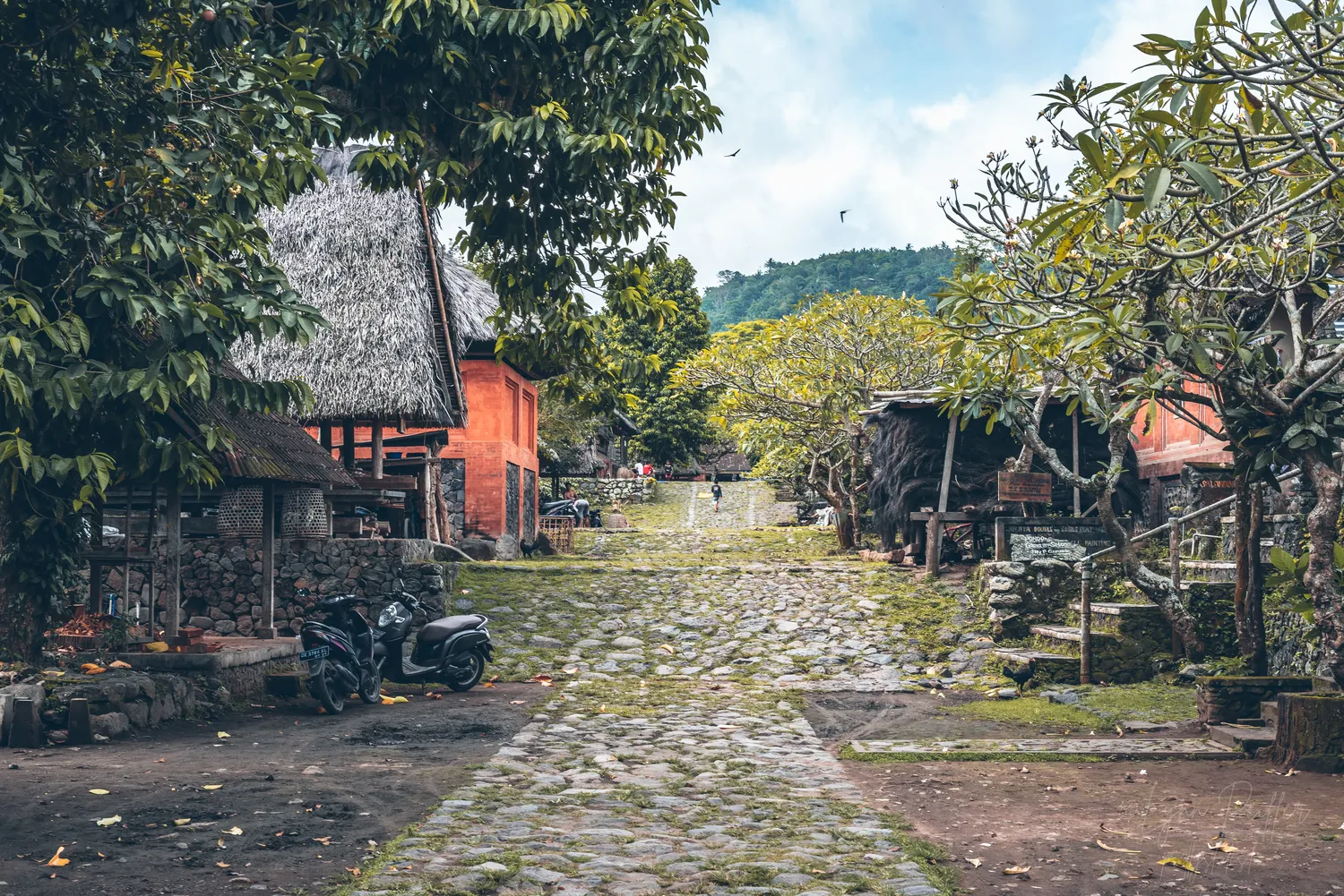 Places of Indonesia Landscape Travel Photos 33 by Lynn Peiffer Buildings and huts among jepun trees in a village in Bali, Indonesia.