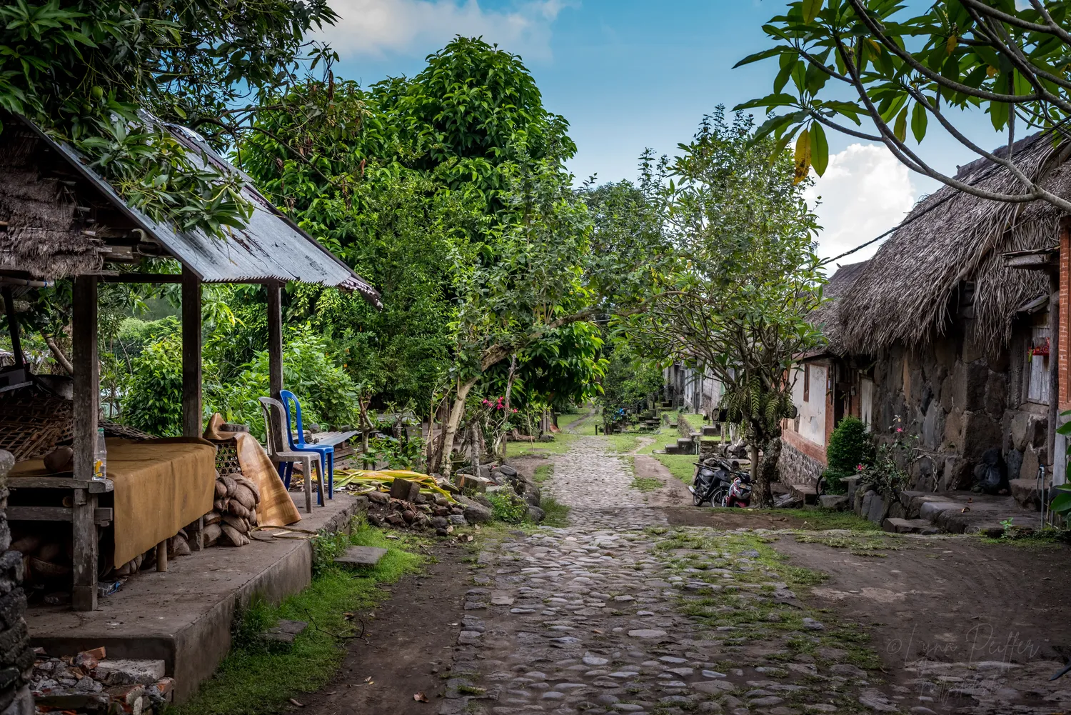 Places of Indonesia Landscape Travel Photos 35 by Lynn Peiffer A stone pathway through a village surrounded by lush foliage in Bali, Indonesia.