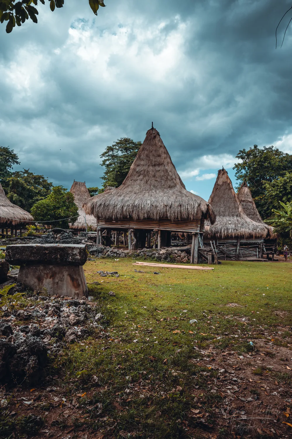 Places of Indonesia Landscape Travel Photos 40 by Lynn Peiffer Traditional Rumah Adat houses featuring towering thatched roofs in Sumba, Indonesia.