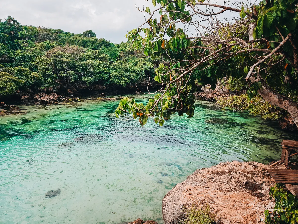 Sumba Indonesia Travel Photo 03 by Lynn Peiffer A striking landscape of a clear lagoon surrounded by tropical trees in Sumba, Indonesia.